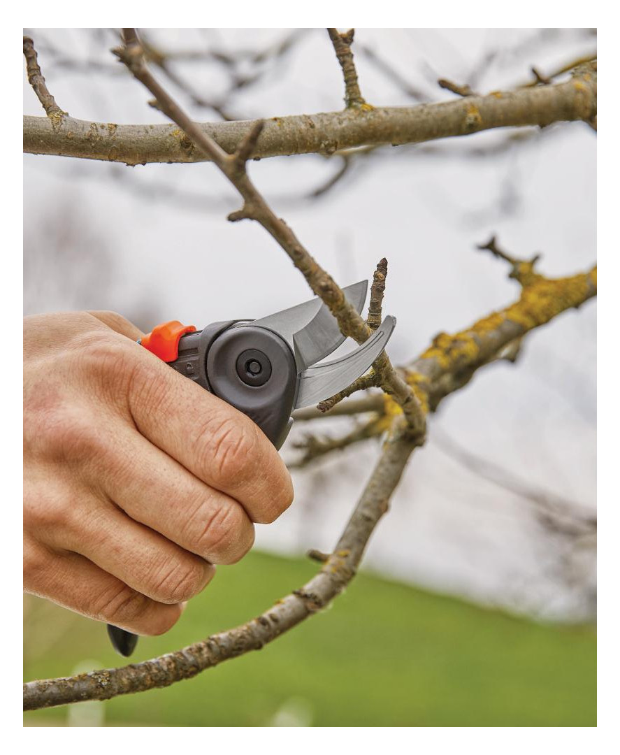 Bild ExpertCut - Gardena-1