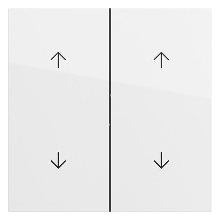 GIRA 329770 Wippe 2f Pfeile 