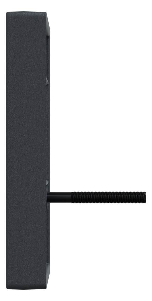 Zentralplatte TAE 2f System M anth Schraubbef