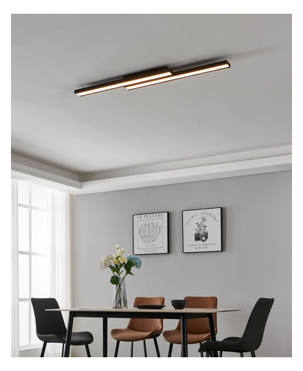EGLO Wand und Deckenleuchte       900024 