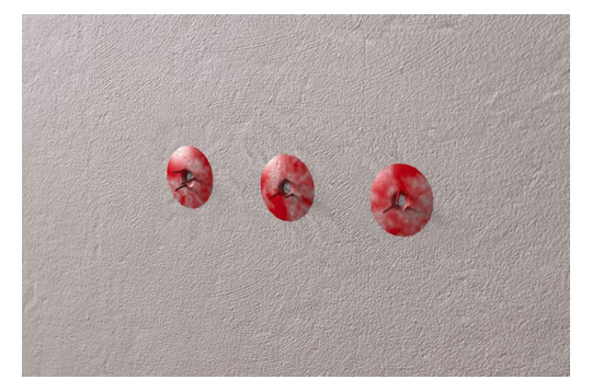 Primo Universalputzdeckel           P722 