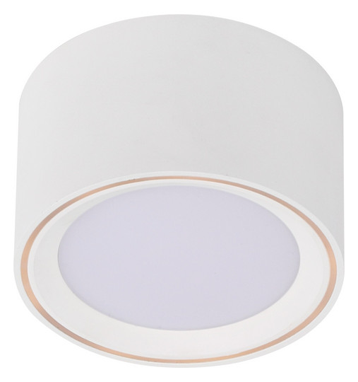 LED-Deckenanbauleuchte FALLON 5,5W 2700K 500lm ws Konv IP20 Ø100x60mm