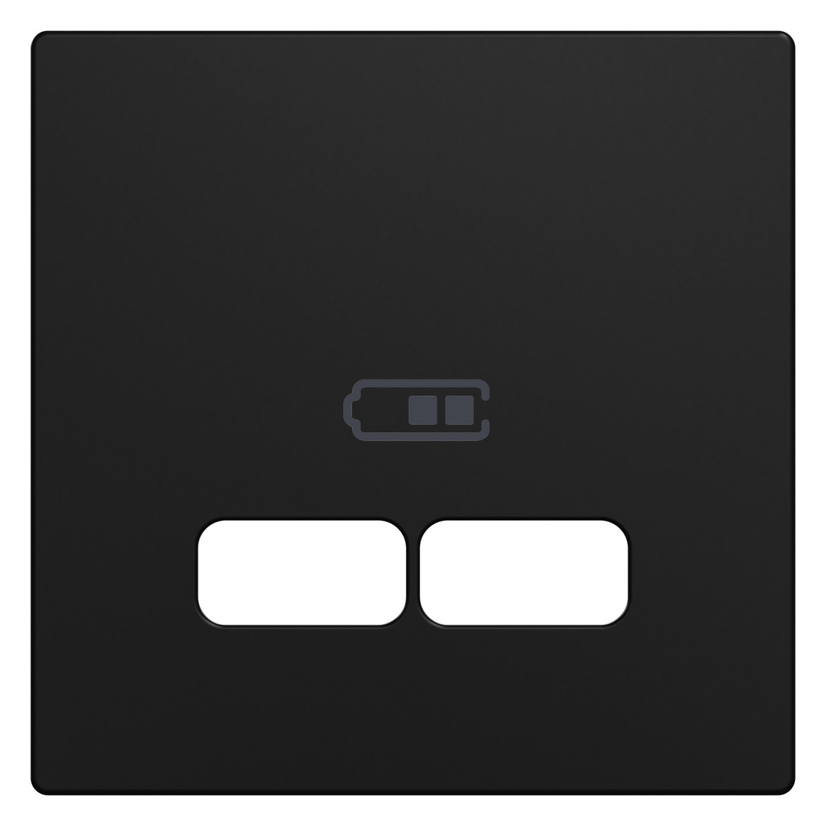 Zentralplatte USB sw einrasten m.Aufdr m.Beschr.Feld Zentralplatte USB sw einrasten m.Aufdr m.Beschr.Feld