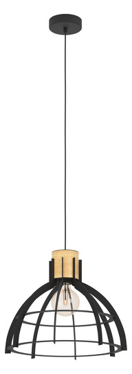EGLO Hängeleuchte/1 E27            43769 