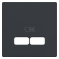 Zentralplatte USB 2f anth Klemmbef m.Aufdr