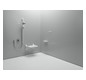 HEWI Ablageschale 477 250x35x115mm, abnehmbar, lichtgrau