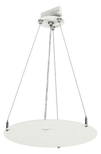 RIDI MAXI400-ZSP-STS 2M          0209479 
