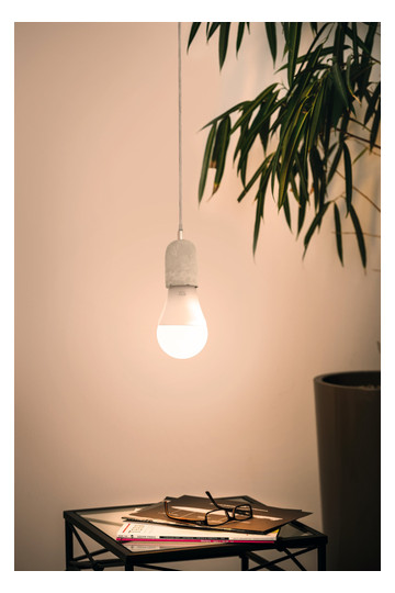 EGLO Leuchtmittel opal E27 1X9W    12253 