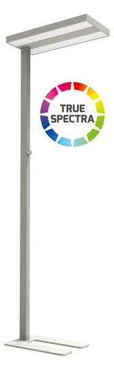 DOTLUX LED-Stehleuchte       5227-155075 