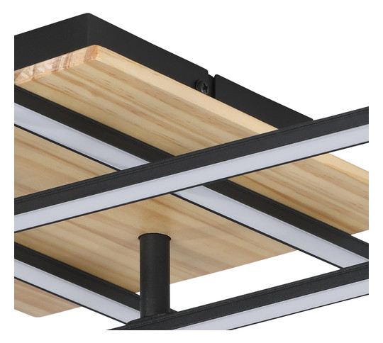 EGLO Wand und Deckenleuchte        99793 