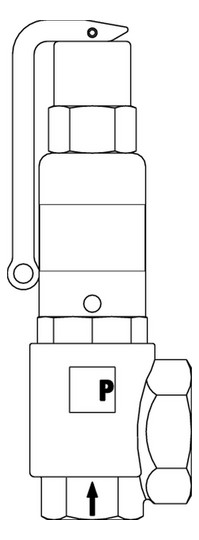 Pneumatex Sicherheitsventil DSV 20-8.0 DGH, 8,0 bar, DN 20, IG/IG, Rotguss