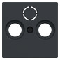 Zentralplatte Sat/TV/Radi System M anth Schraubbef 3f