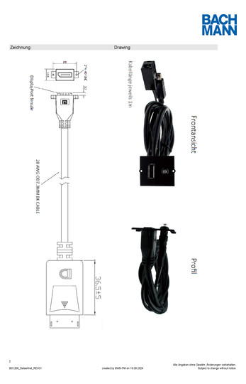 Bachmann Custom Modul            903.206 