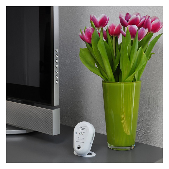 INDEXA Kohlenmonoxidmelder          CO30 