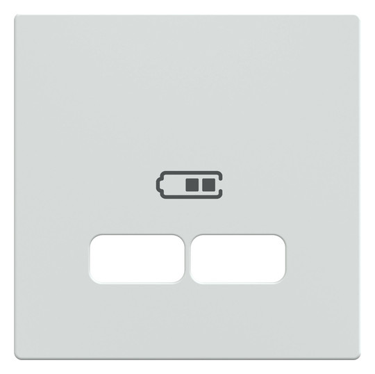 Zentralplatte USB 2f polws Klemmbef m.Aufdr