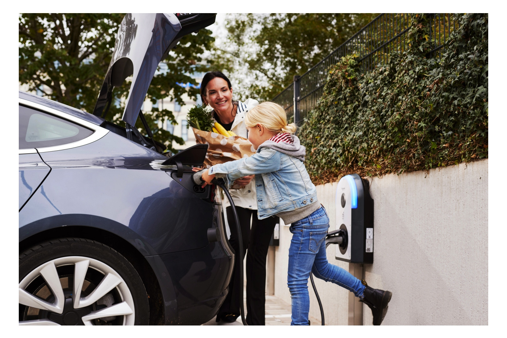 Wallbox 22kVA 3ph EVlink 1f 22kW/Ladep IP55 317x529x158mm Wandmont Kst IK10