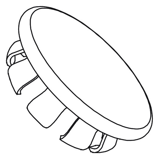 Z-603-897-000-DECKKAPPE FÜR DUSCHSTANGE, CHROM