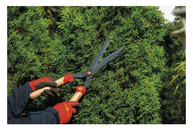 Bild Heckenschere HS-WW - WOLF GARTEN-1