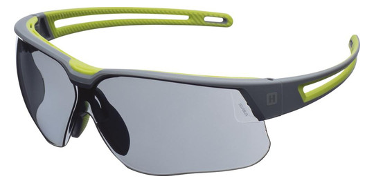 Honeywell-Schutzbrille AVATOR Plus, grau, Rahmen...
