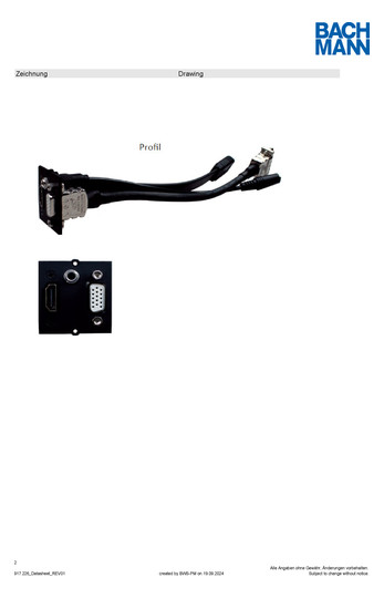 Bachmann Custom Modul VGA Klinke  917226 