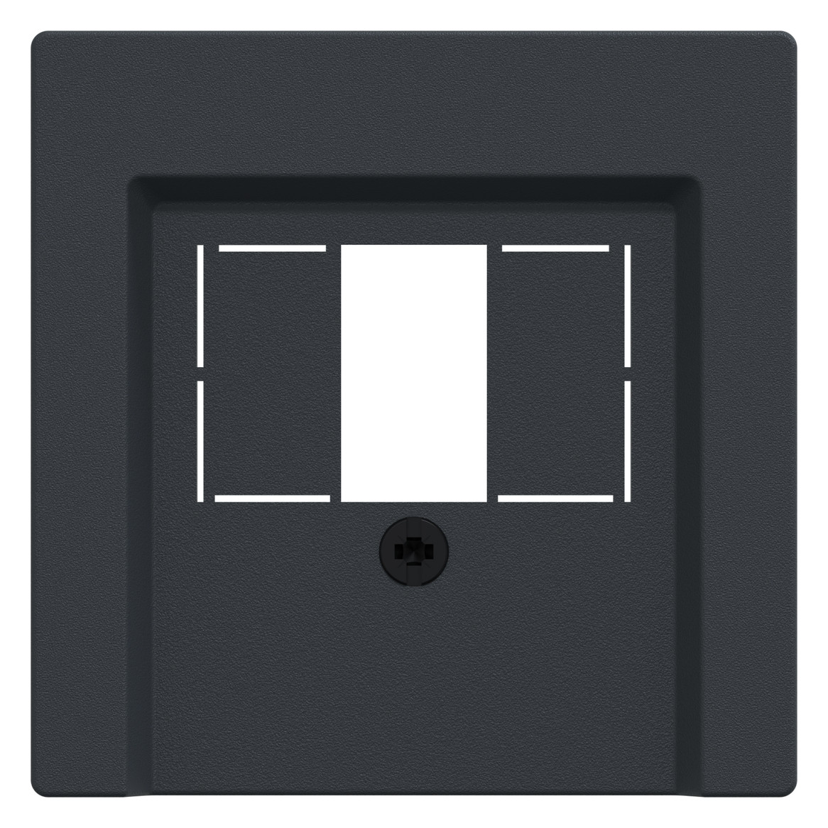 Zentralplatte TAE 2f System M anth Schraubbef