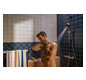 hansgrohe Wand-WC EluPura Original S mit WC-Sitz, weiß, ohne HygieneEffect und SmartClean