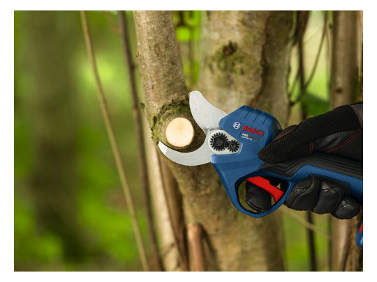 Bosch Akku-Gartenschere       06008D8200 