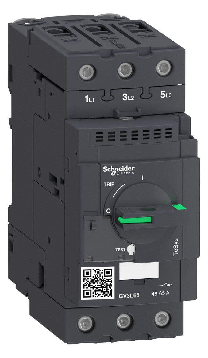 Motorschutzschalter 3p 65A/Iu 690V Einb IP20 Festeinbau magnetisch
