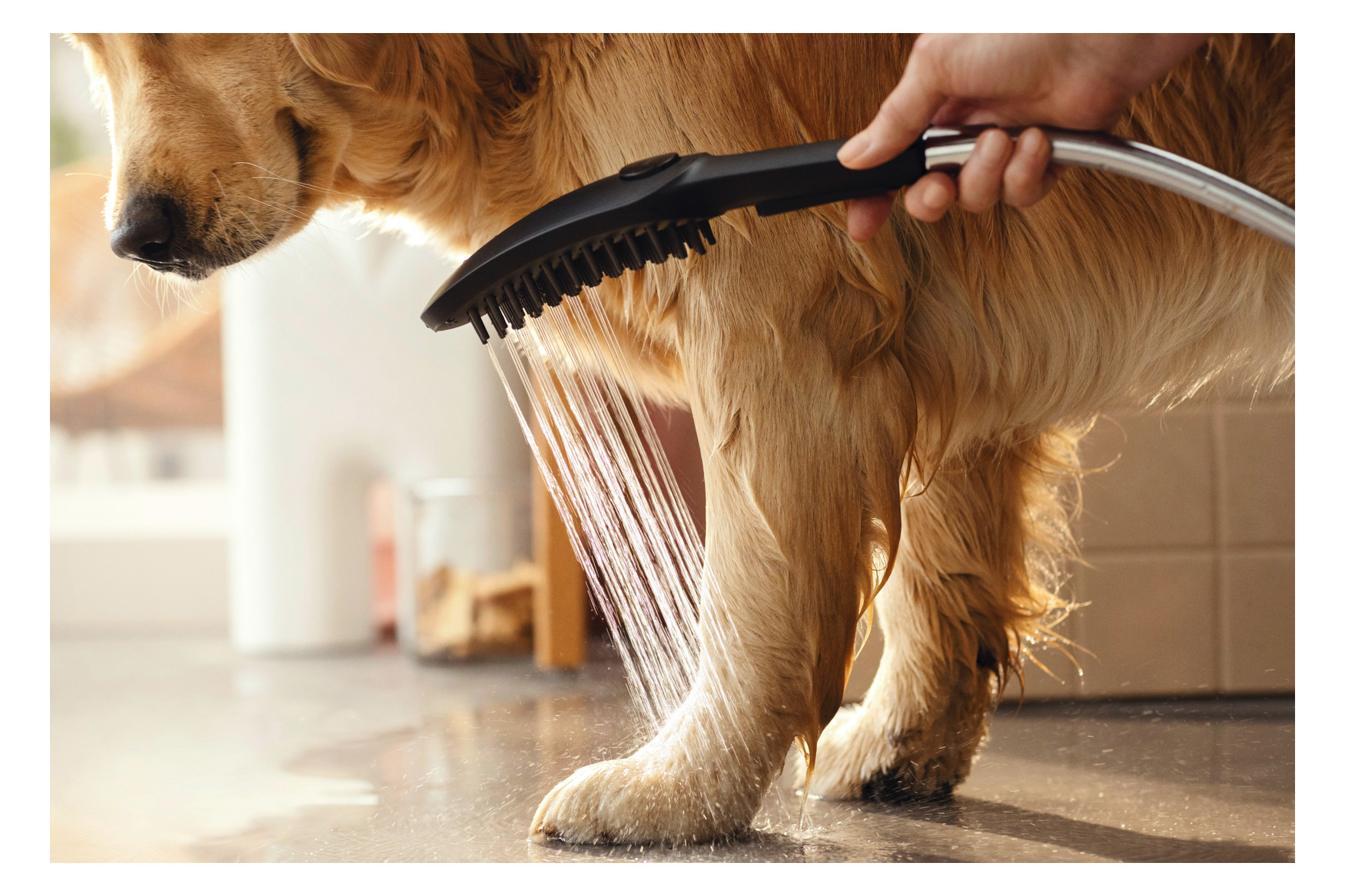 hansgrohe Hundeduschbrause 150 DogShower 3jet, mattschwarz hansgrohe Hundeduschbrause 150 DogShower 3jet, mattschwarz