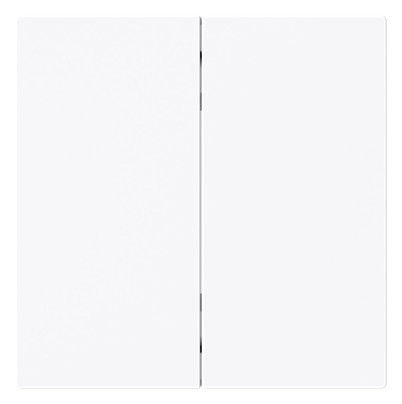 BJ Wippe 2-fach Smart       6736 FoH-44G 