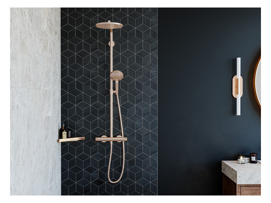 hansgrohe Seifenkorb AddStoris Wandmontage, Metall, brushed bronze