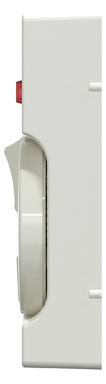 Zentralplatte Raumtemp System M polws glz Kontrollfenster/Lichtauslass