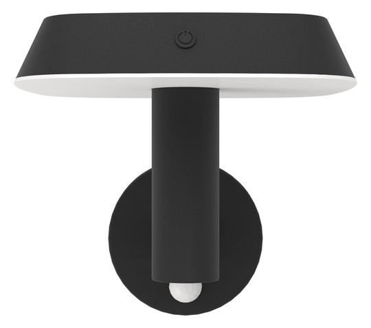 EGLO Außen Solarleuchte Schwarz   901071 