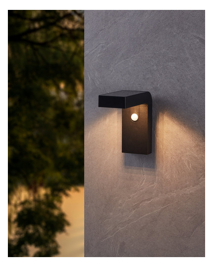 EGLO Außen Solar Wandleuchte      900245 
