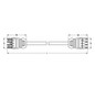 Systemverbindung 4p Serie 771 H05Z1Z1-F 4x1,5qmm L2000mm ws Buchse Stecker hfr