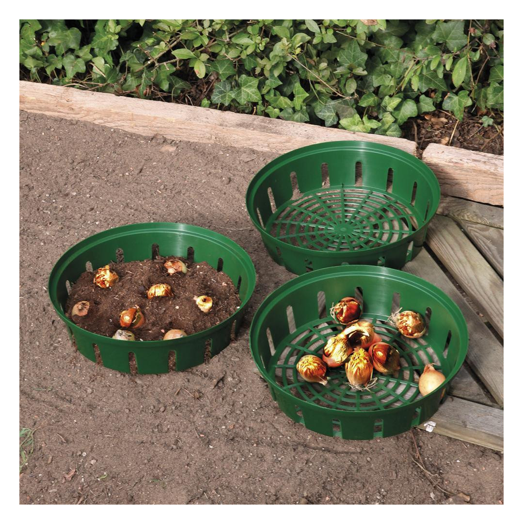 Bild Blumenzwiebel- Pflanzenschale 3er Set ru nd Floraworld-2