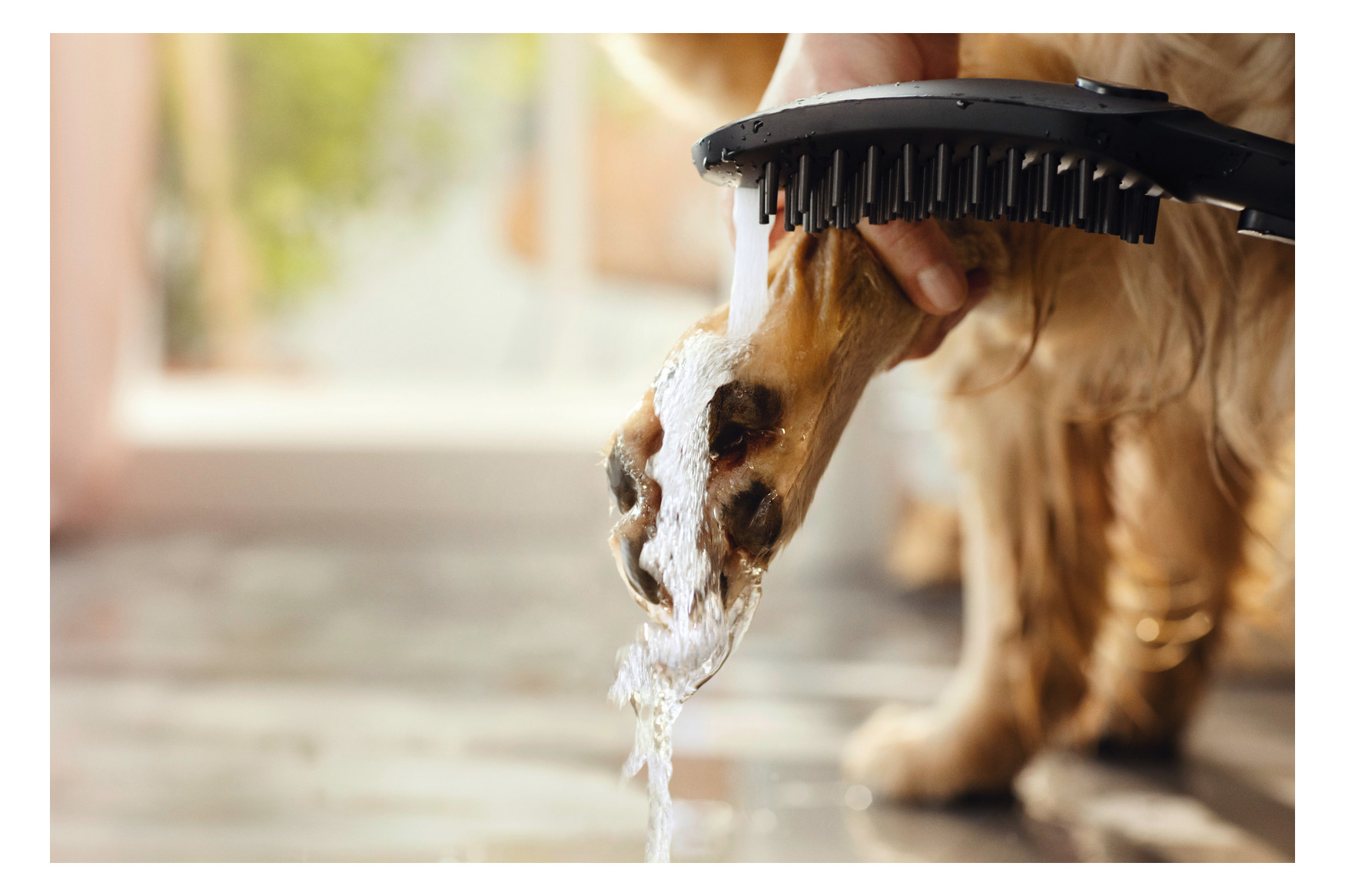 hansgrohe Hundeduschbrause 150 DogShower 3jet, mattschwarz hansgrohe Hundeduschbrause 150 DogShower 3jet, mattschwarz