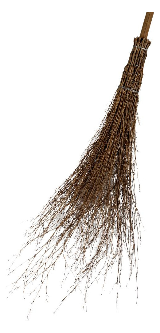 Bild Reisigbesen Bambus mit Stiel 220 cm Flor aworld - floraworld-0