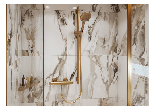 hansgrohe Seifenkorb AddStoris Wandmontage, Metall, brushed bronze