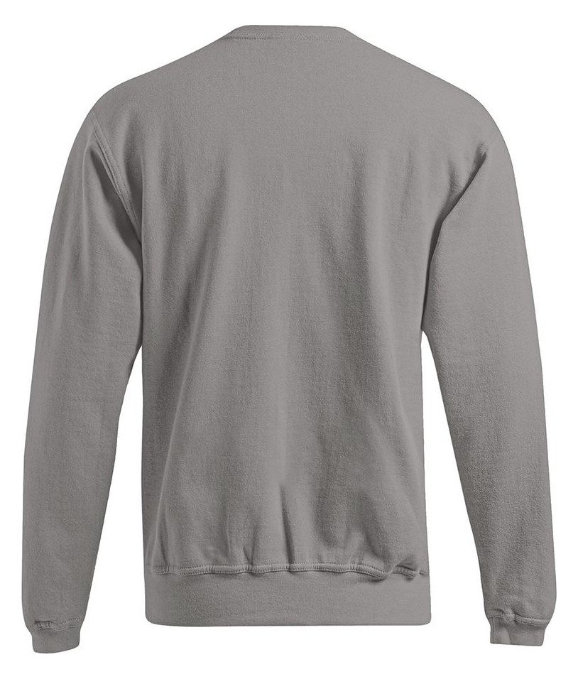 Bild Sweatshirt, Gr. L, new light grey-1