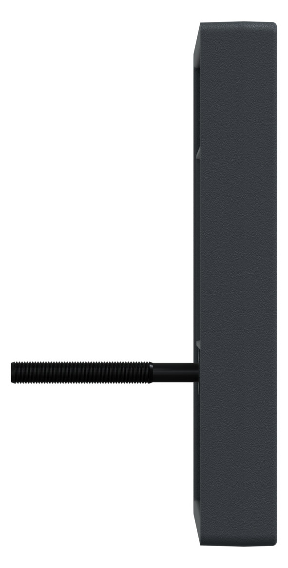 Zentralplatte TAE 2f System M anth Schraubbef