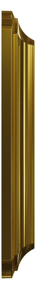 Rahmen 2f go glz Metall Edst