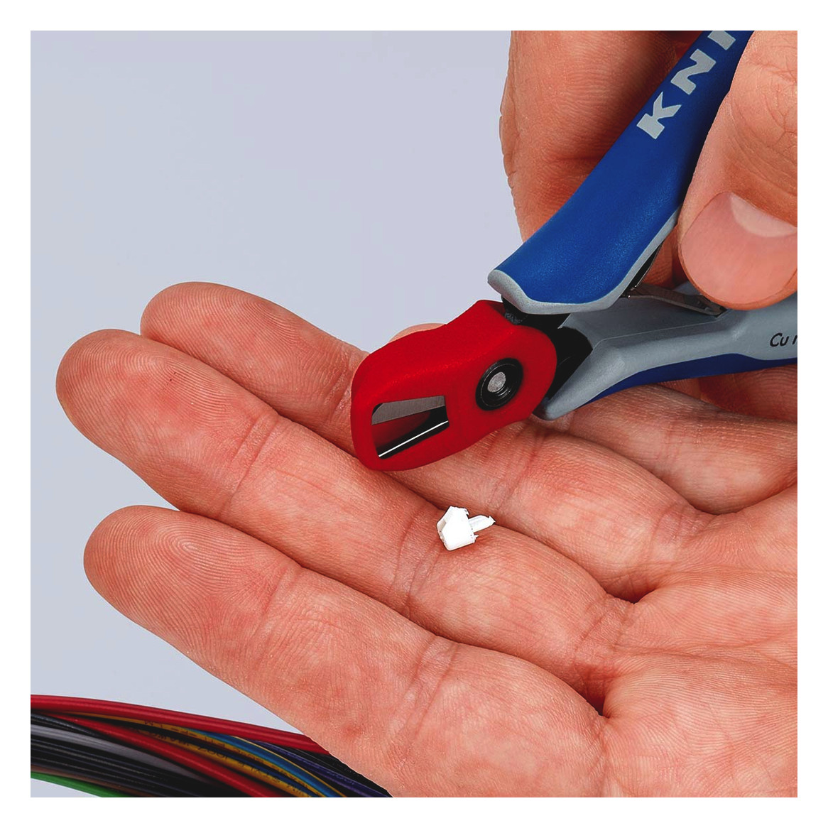 Seitenschneider isol