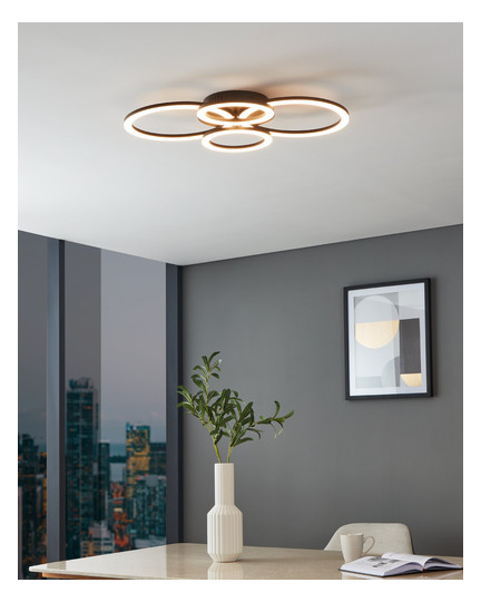 EGLO Wand und Deckenleuchte       900319 