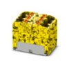 Phoenix 3273810             PTFIX 6X4-FE 