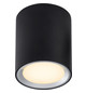 LED-Deckenanbauleuchte FALLON 5,5W 2700K 500lm sw Konv IP20 Ø100x120mm
