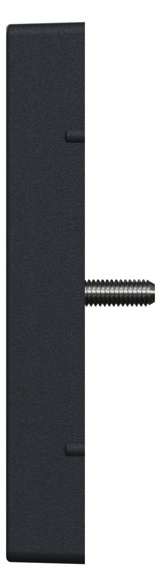 Zentralplatte Ant.dose 2f System M anth Schraubbef