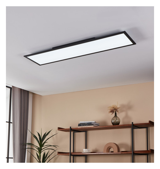 EGLO Wand und Deckenleuchte       900053 