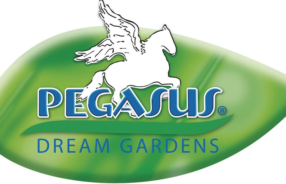Bild Universalrasen 10 kg Pegasus - Kiepenkerl-1