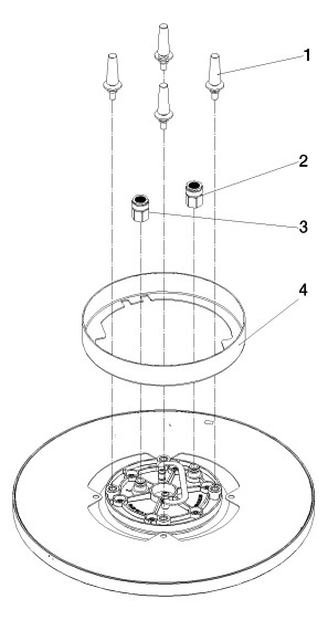Dornbracht Regenbrause d= 300mm, für Deckenanbindung, Messing gebürstet